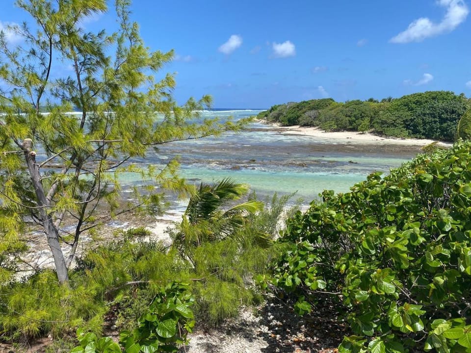 Rangiroa Reef Lodge Chalet in French Polynesia