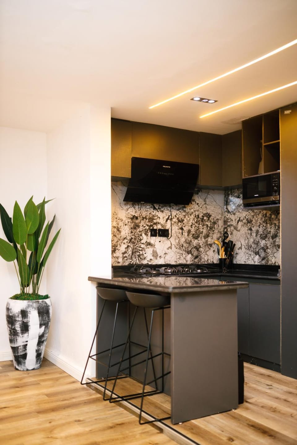 Kitchen or kitchenette