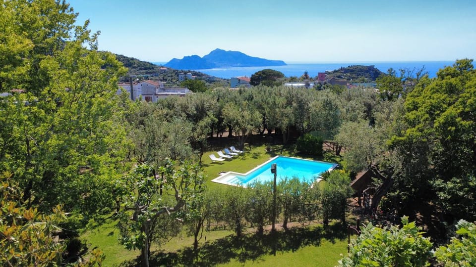 View (from property/room), Swimming pool