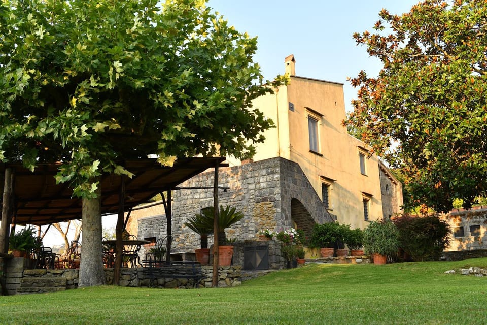 Property building, Garden view