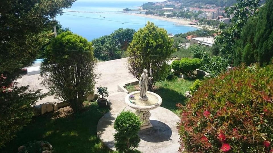 Garden, Sea view