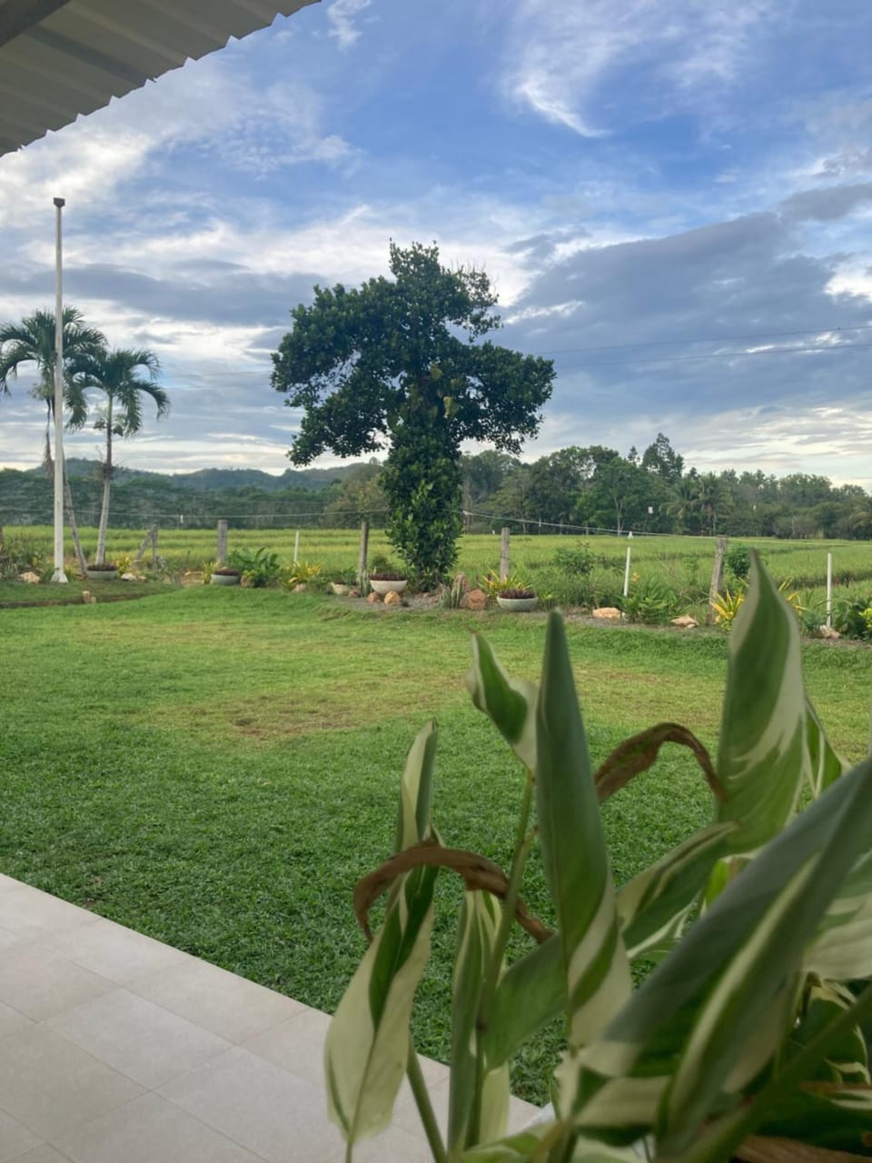 The Eliana Farm Resort and Villas - Bukidnon Resort in Northern Mindanao