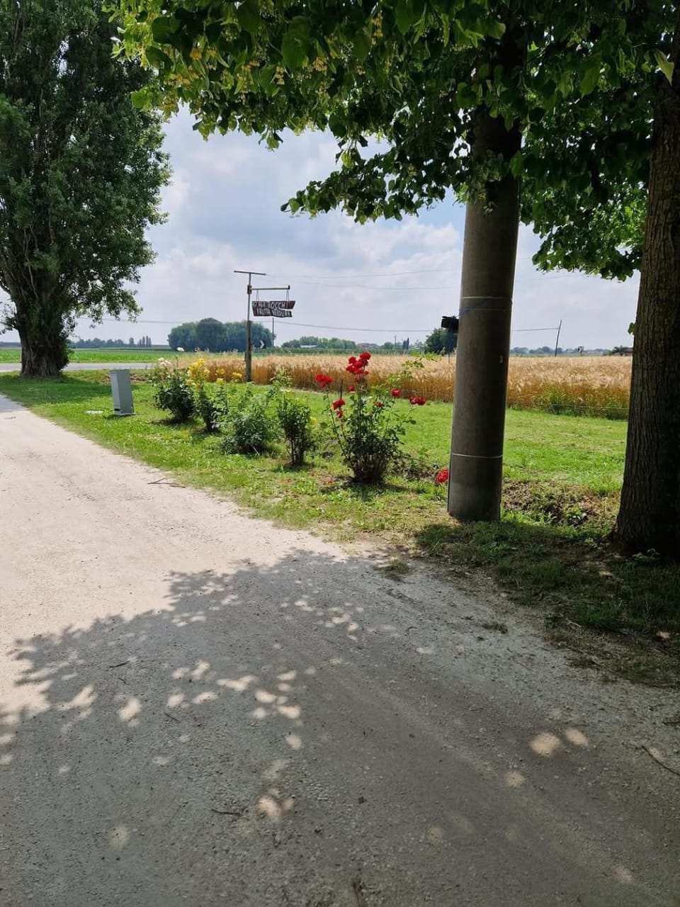 B&B Tre di Cuori Bed and Breakfast in Emilia-Romagna