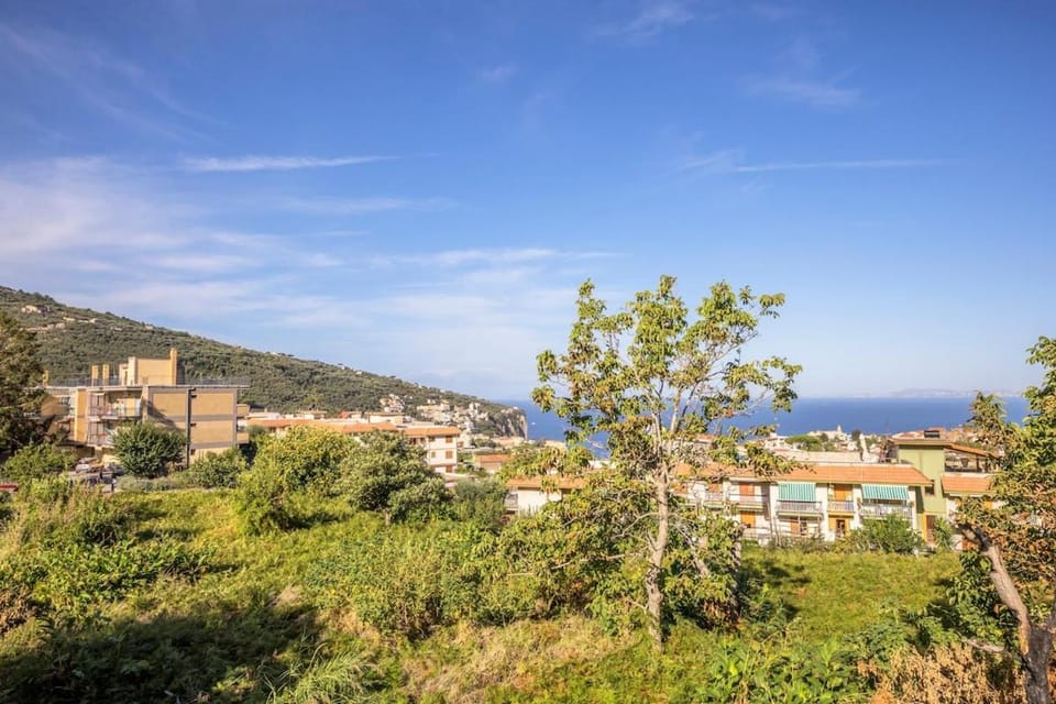 Garden, City view, Garden view, Sea view