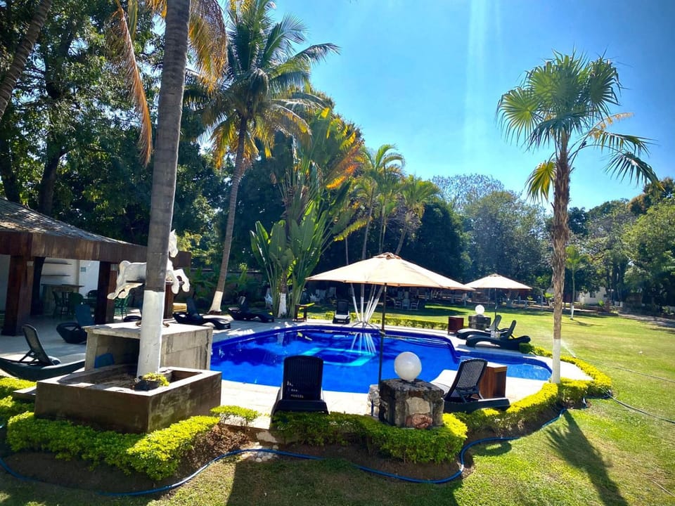 Garden, Swimming pool