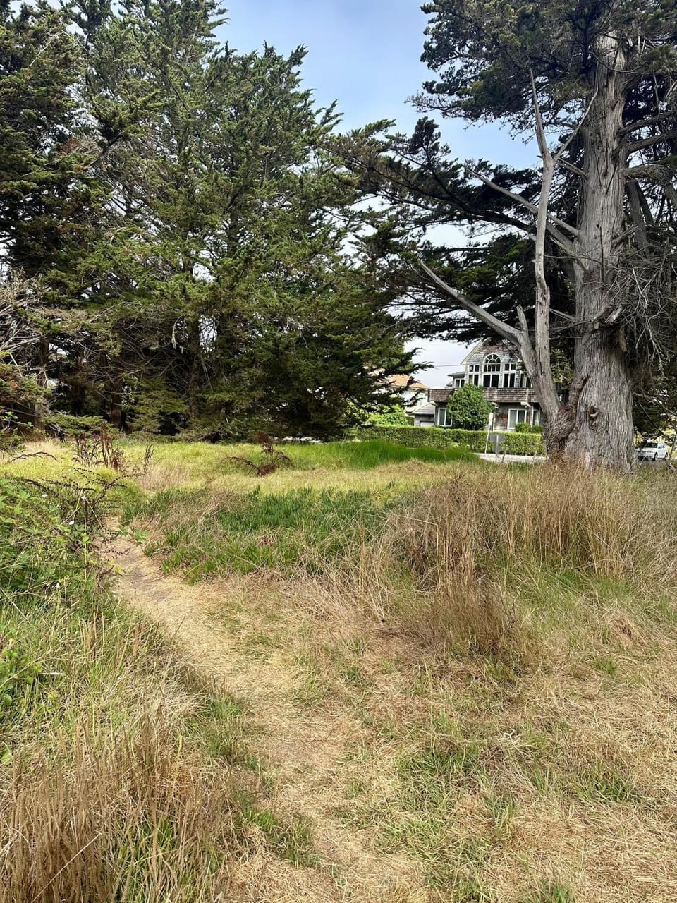 Natural landscape