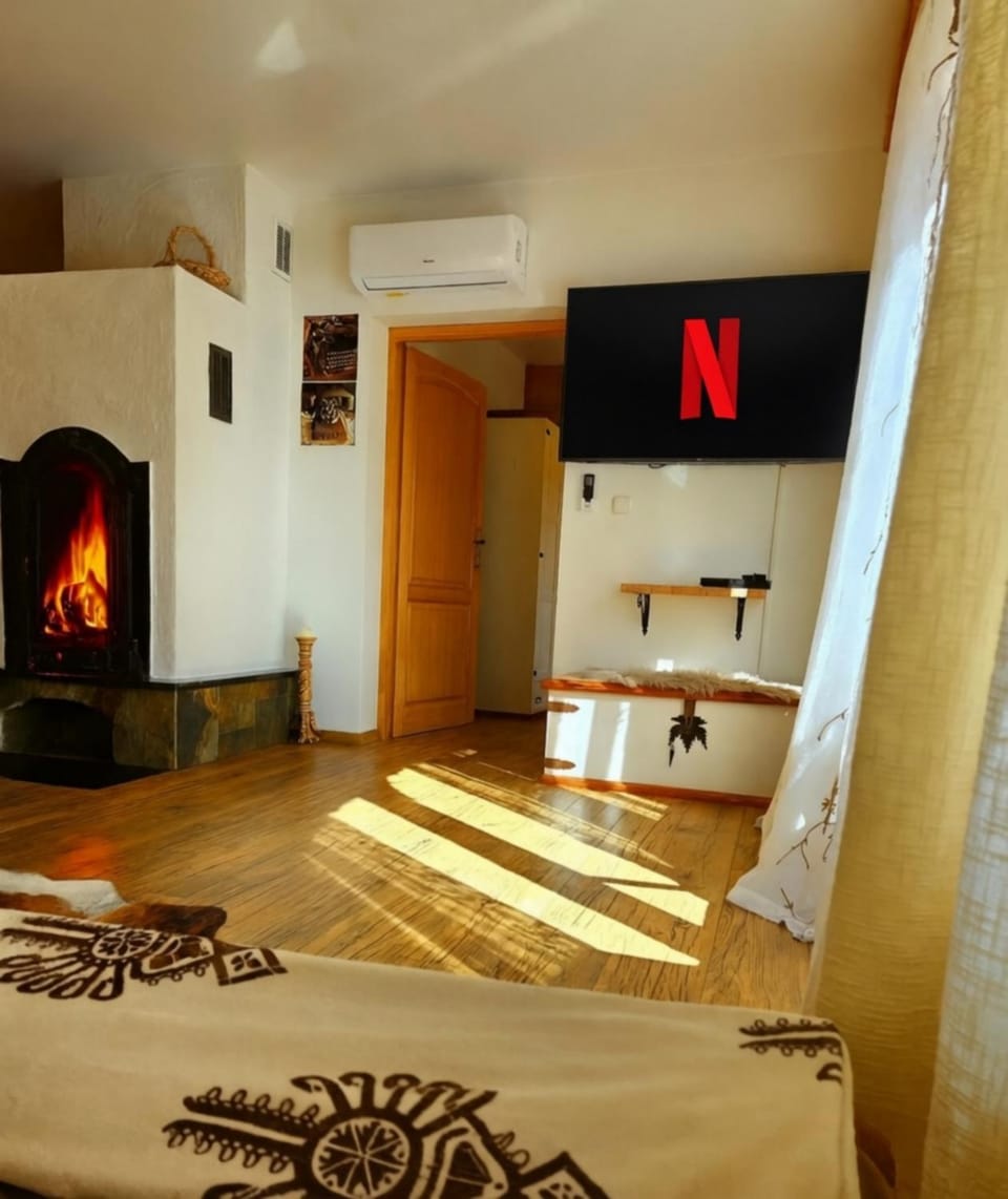 Communal lounge/ TV room, Living room, fireplace, air conditioner