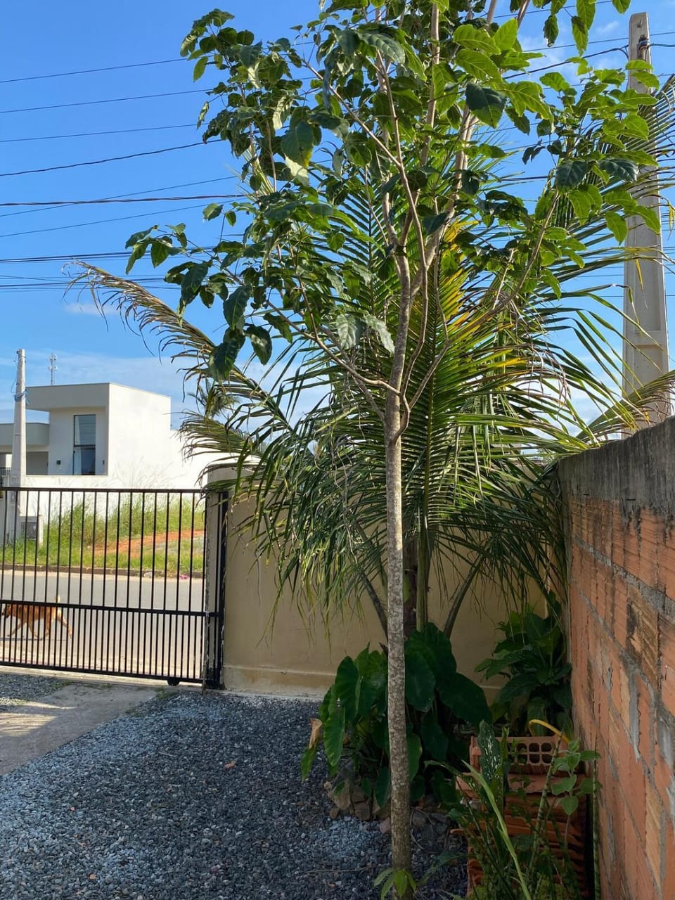 Geminado em Barra Velha SC House in State of Santa Catarina