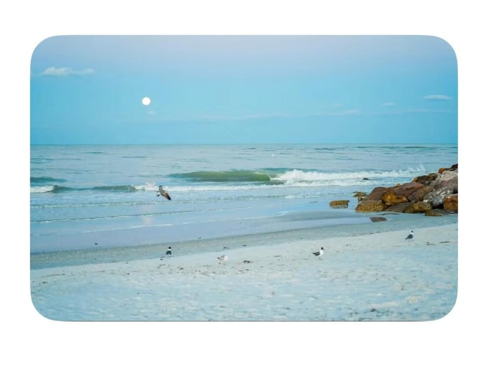 Long Term Rental In St Pete 10 mins from Treasure Island Pool Table, Games, Fire Pit FREE NETFLIX House in St Petersburg