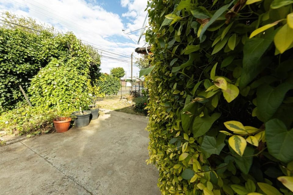 Garden, Garden view