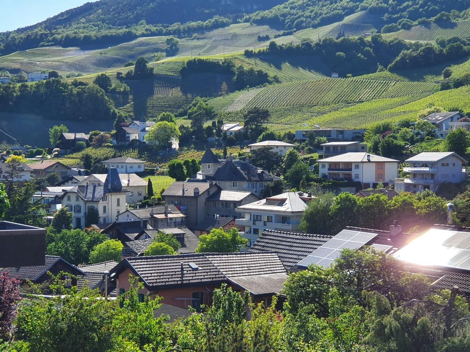 Day, Neighbourhood, Natural landscape, Bird's eye view, City view