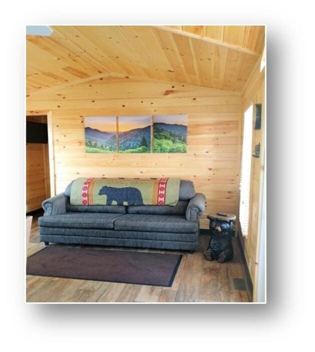 Smoky Mountain Chalet Cottage House in Michigan
