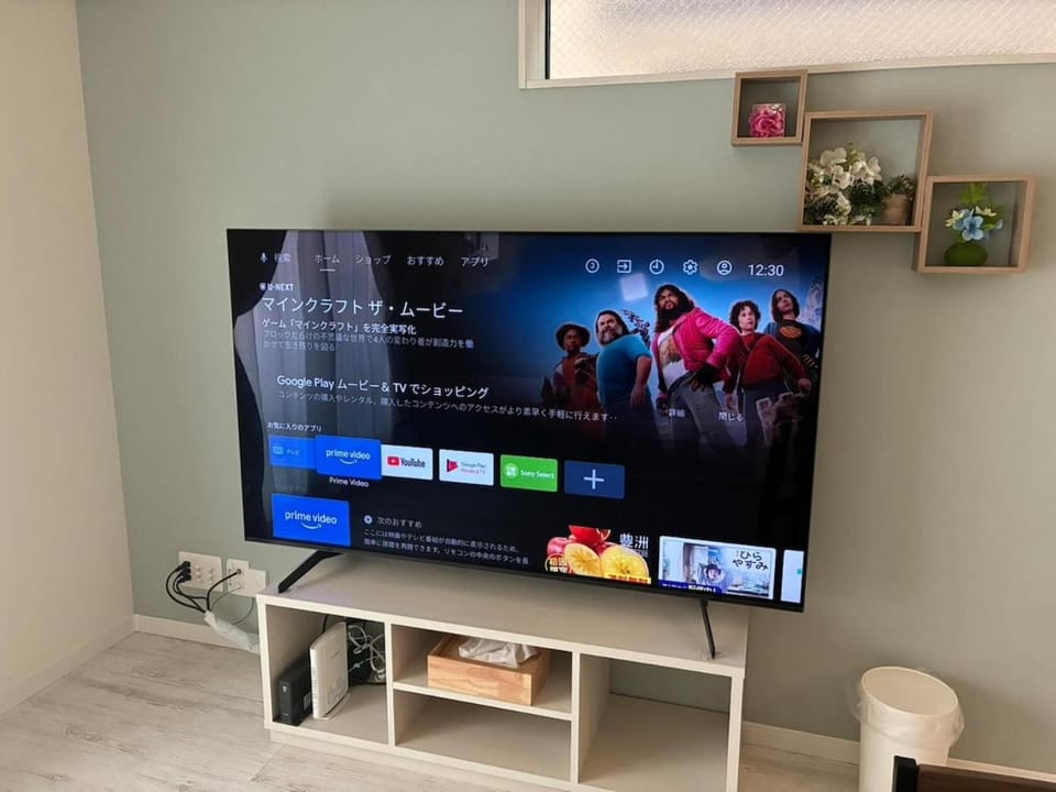 TV and multimedia
