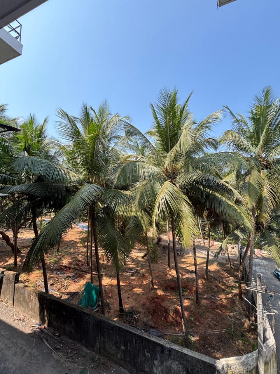 View (from property/room)