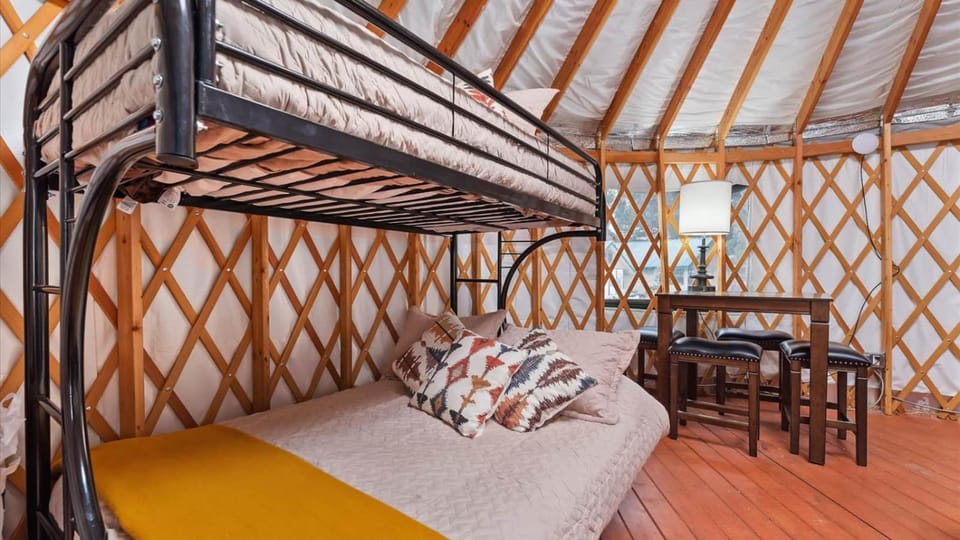 Bed, Seating area, Bedroom, bunk bed