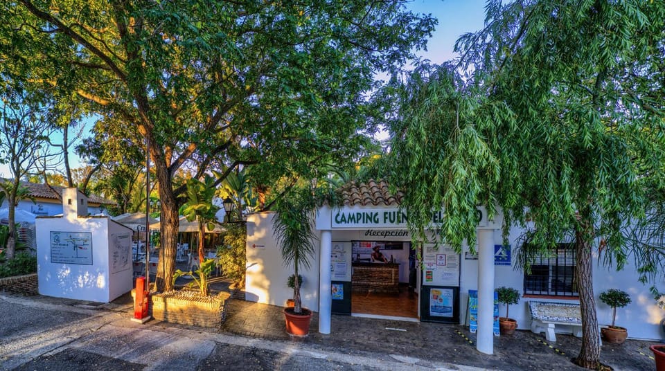 Spring, Lobby or reception, Garden view