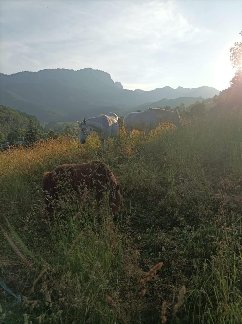 Natural landscape
