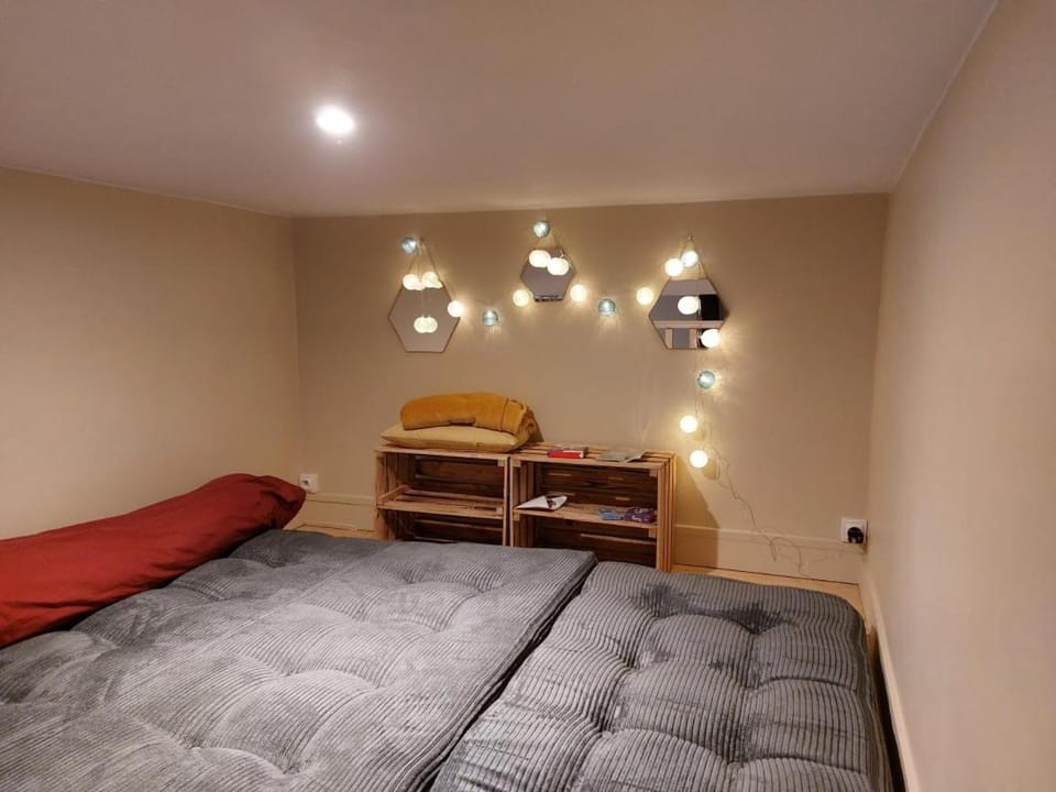 Cozy, fully renovated, ideally located Apartment in Lyon