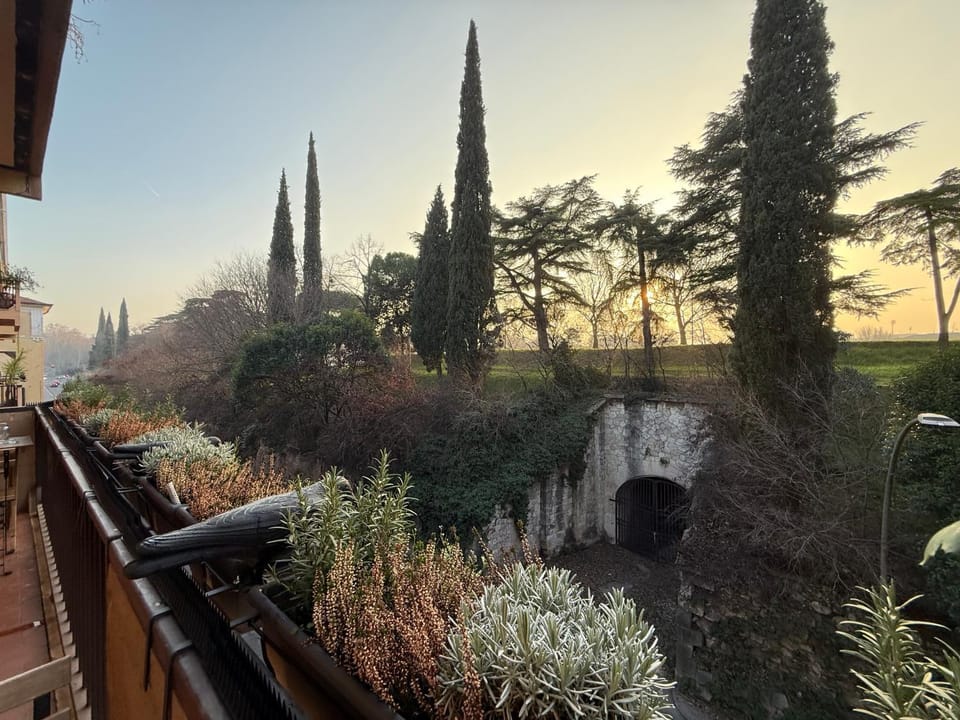 Spring, Day, Natural landscape, Garden, Garden view