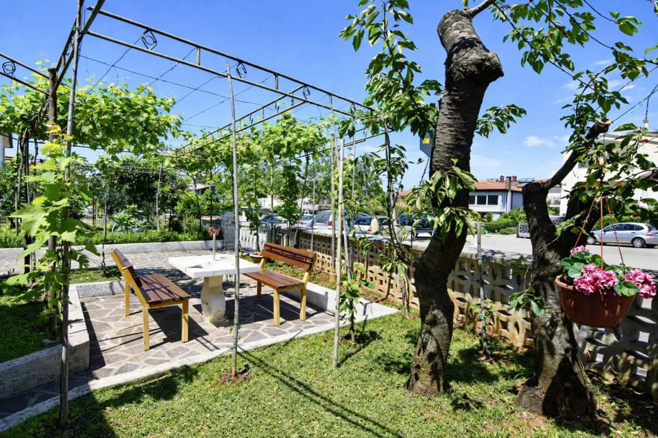 Patio, Garden