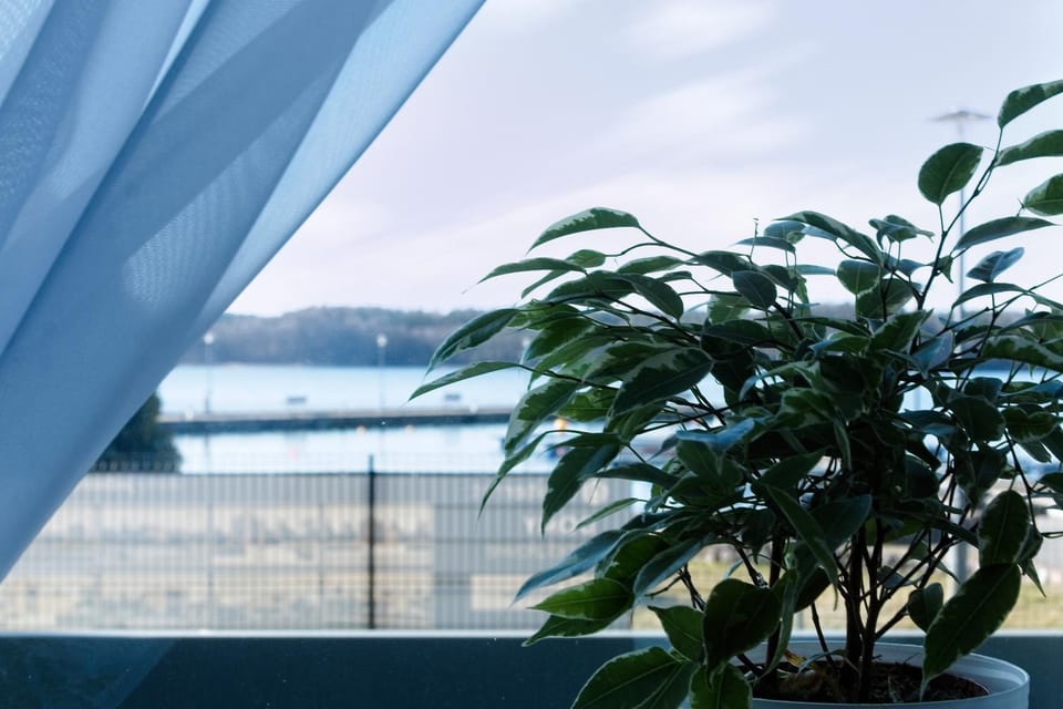 Natural landscape, View (from property/room), Lake view