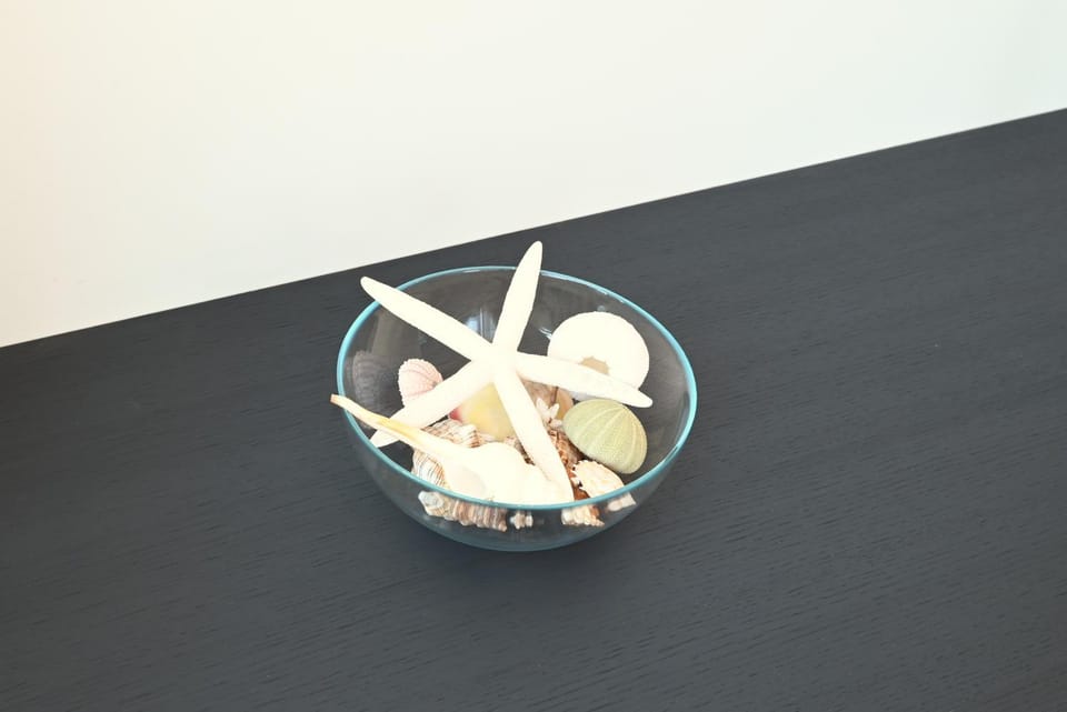 Villa Mer, La Dune - Luxury apartment in Villa Wielingen with garden terrace near the beach Apartment in Zeeland, Netherlands