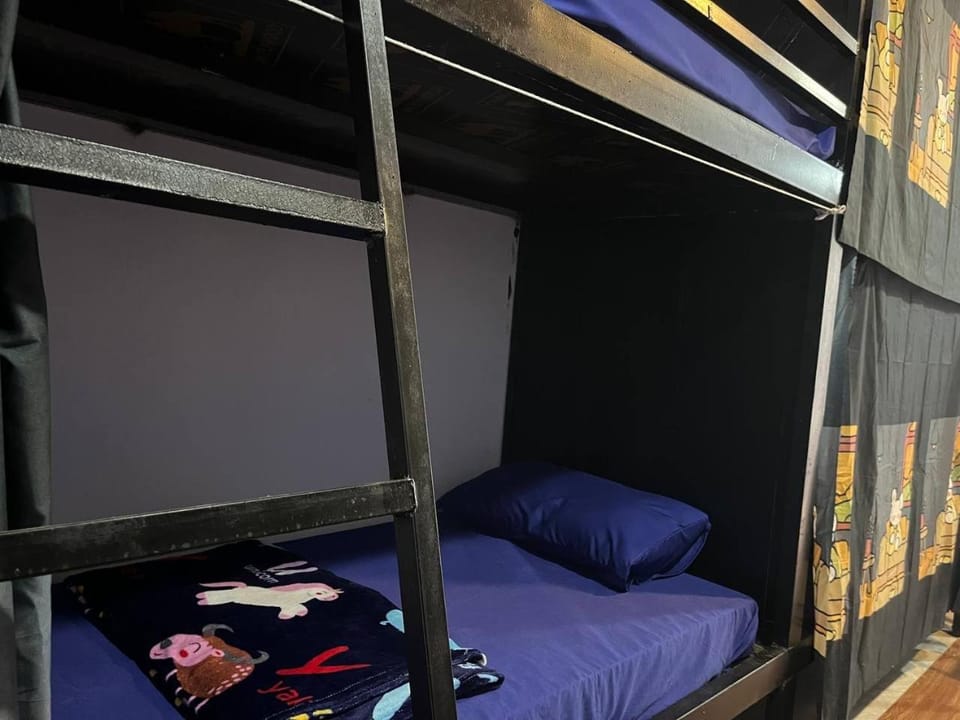 Bed, bunk bed