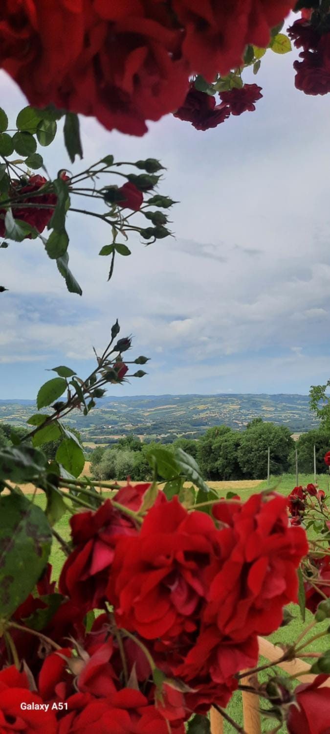 Agriturismo Il Truffarello TODI Farm Stay in Umbria