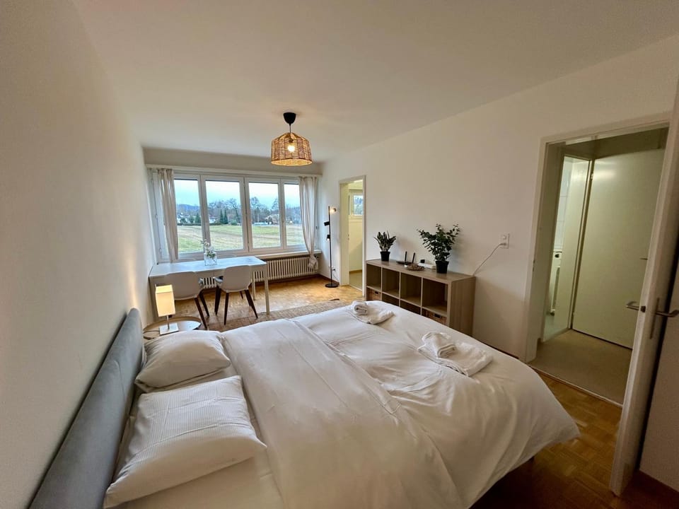 Cozy Studio in Witikon District Apartment in Zurich City