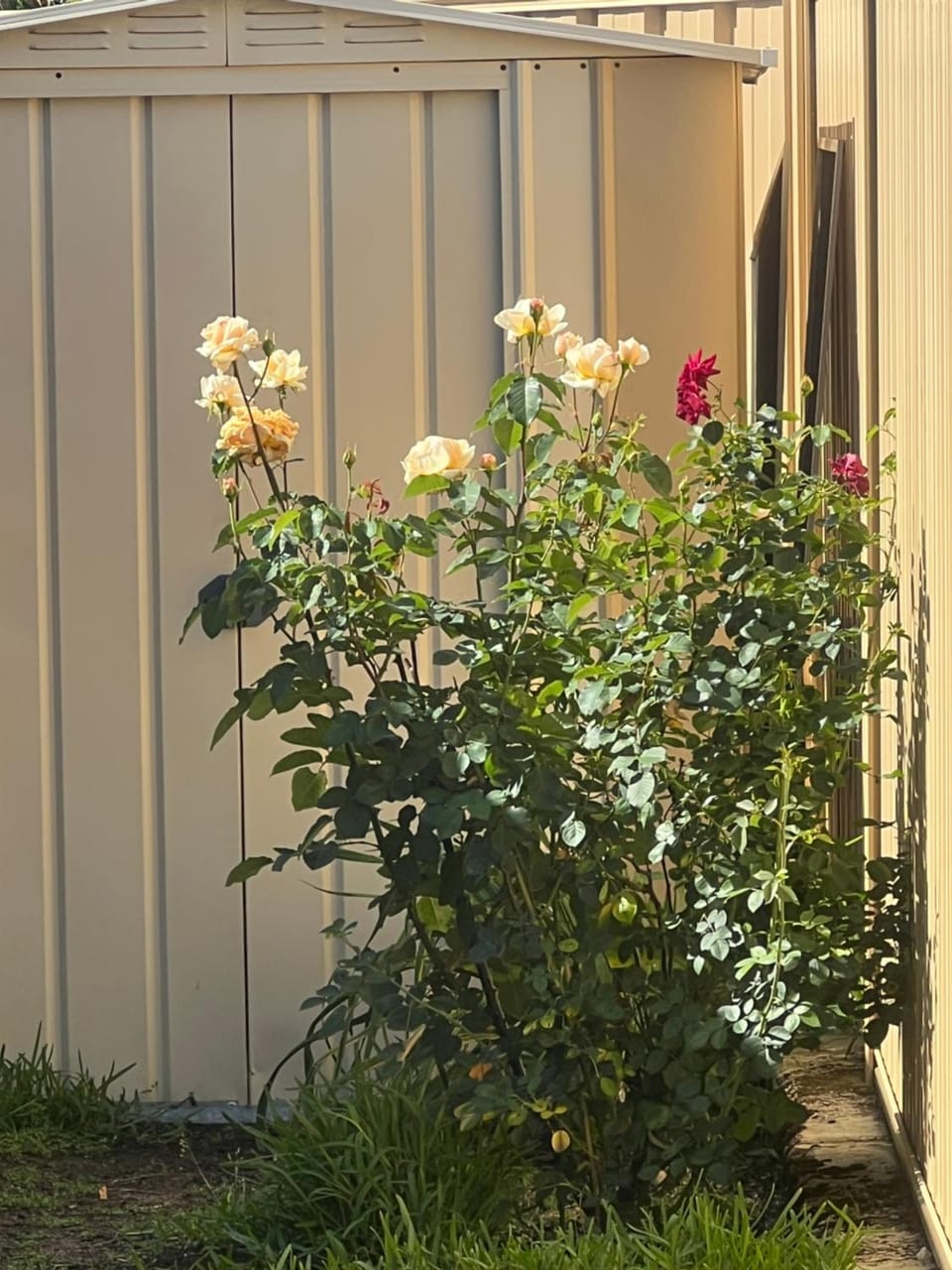 Homy Kwinana Vacation rental in Perth
