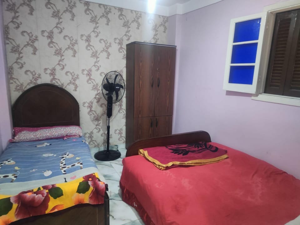 Miami studio & apartments Apartment in Alexandria