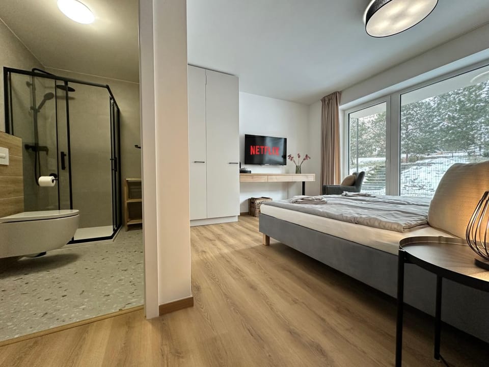 Bathroom, TV and multimedia, internet