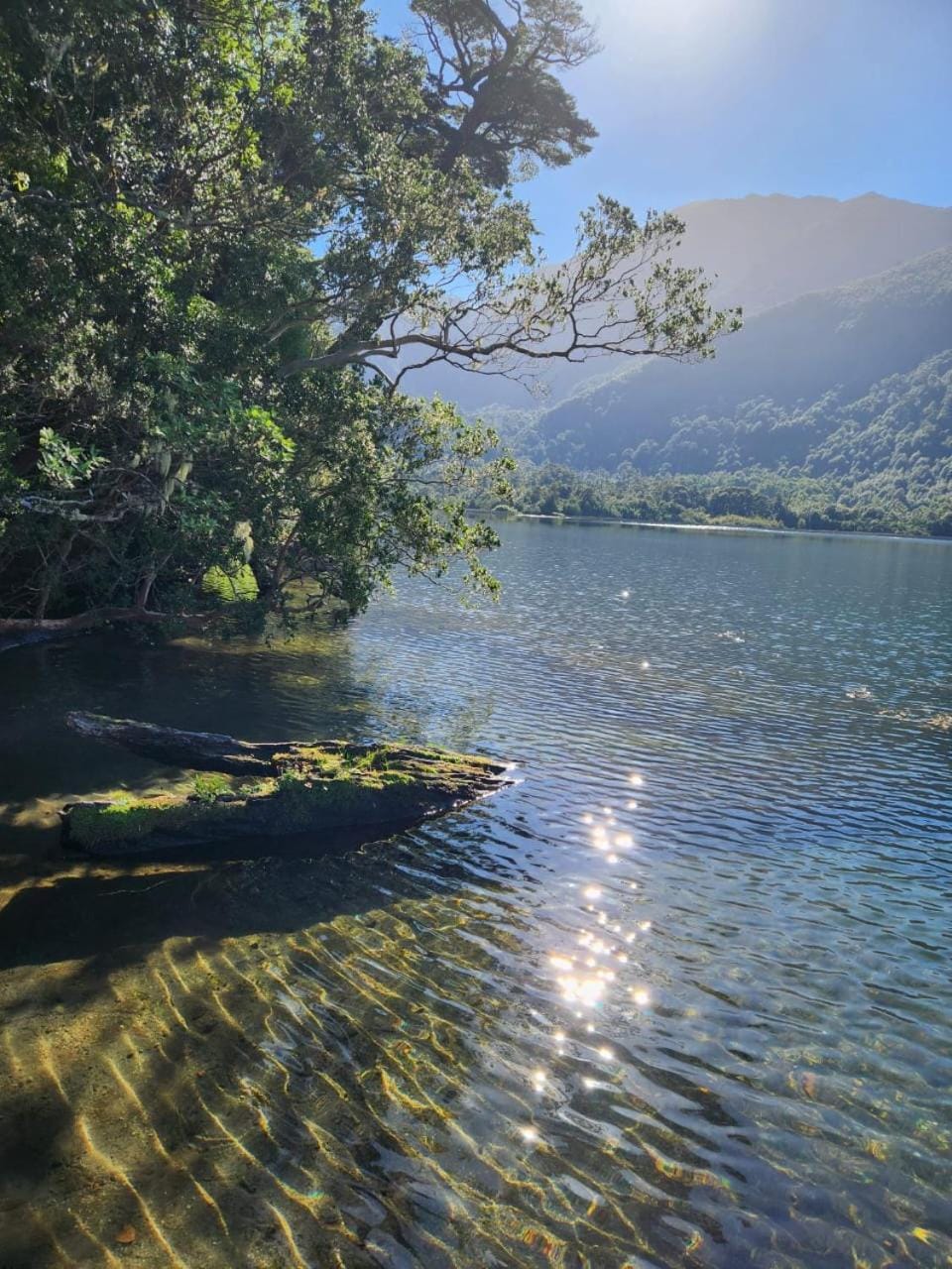 Lake view
