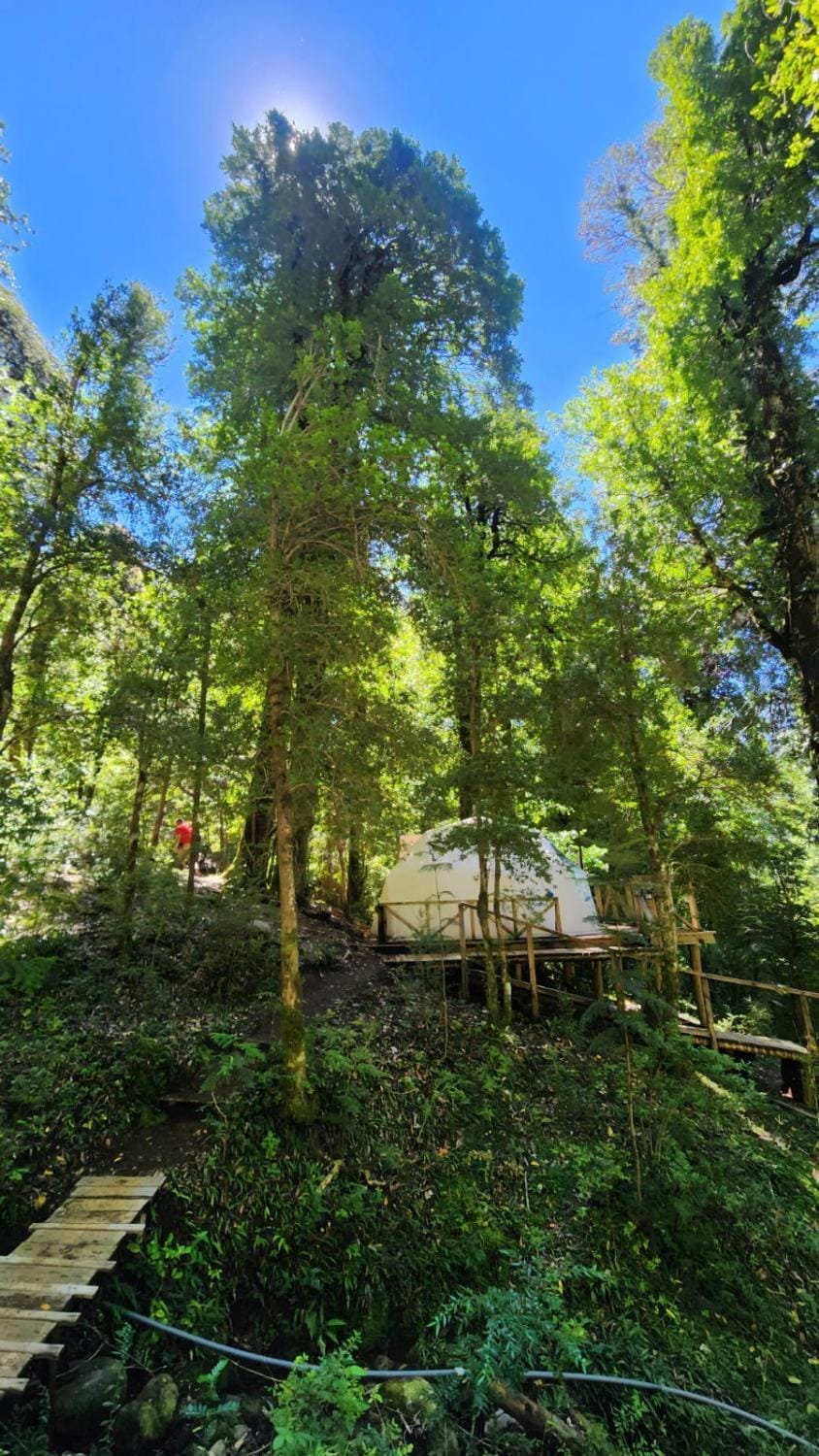 Natural landscape, Garden