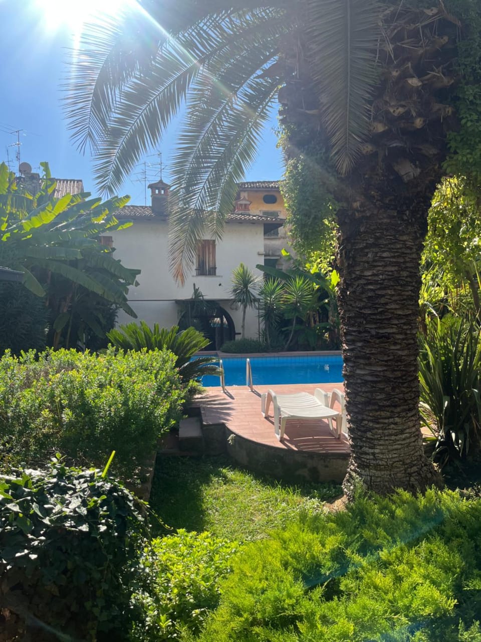 Garden, Swimming pool, sunbed