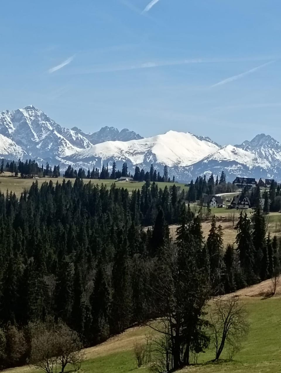 View (from property/room)