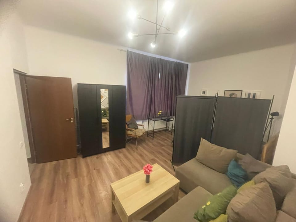 Big studio in city center for 4 people Apartment in Bucharest