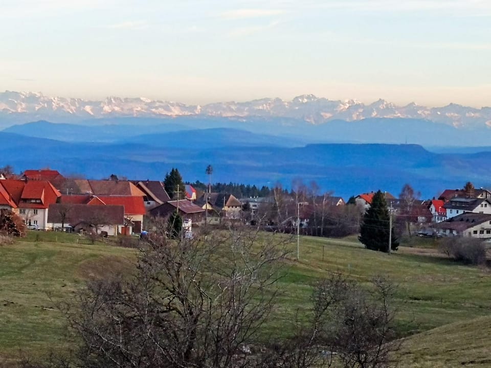 View (from property/room)