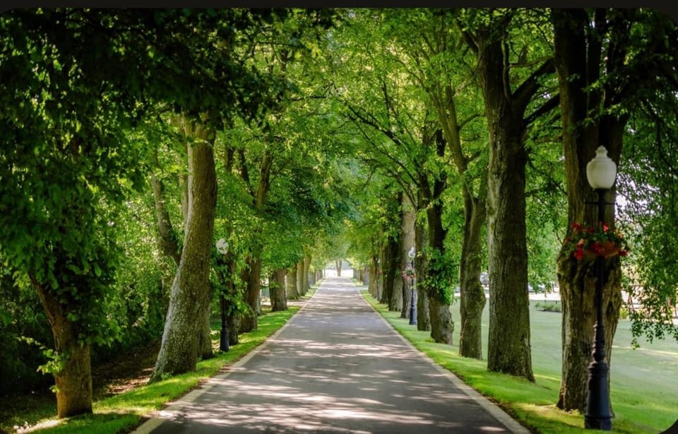 Neighbourhood, Natural landscape, Garden view