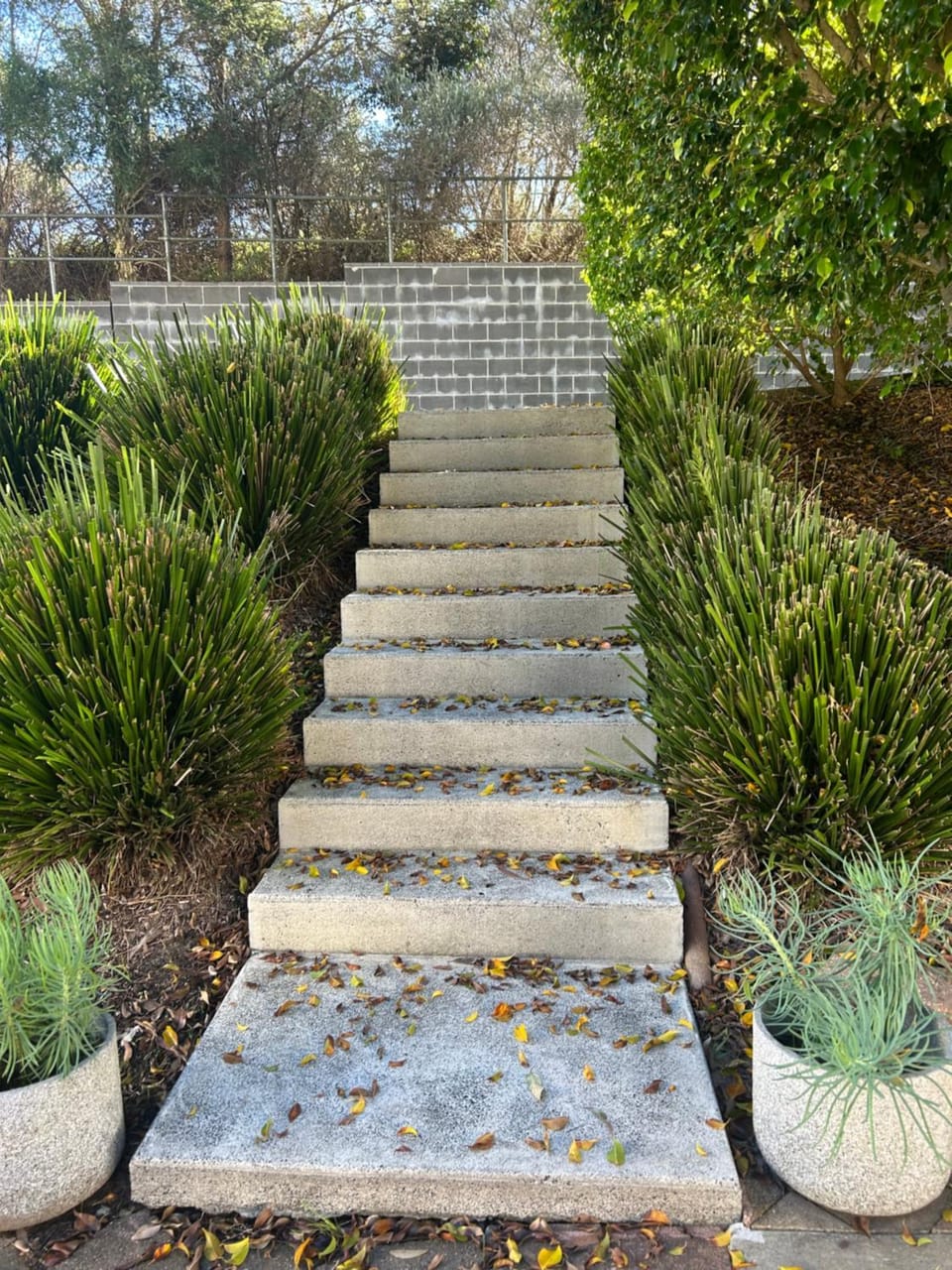 Where the Bush Meets the Beach Natures Perfect Escape Vacation rental in Central Coast
