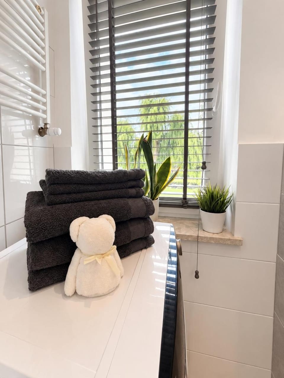 Apartament Modrzewia Apartment in Poland