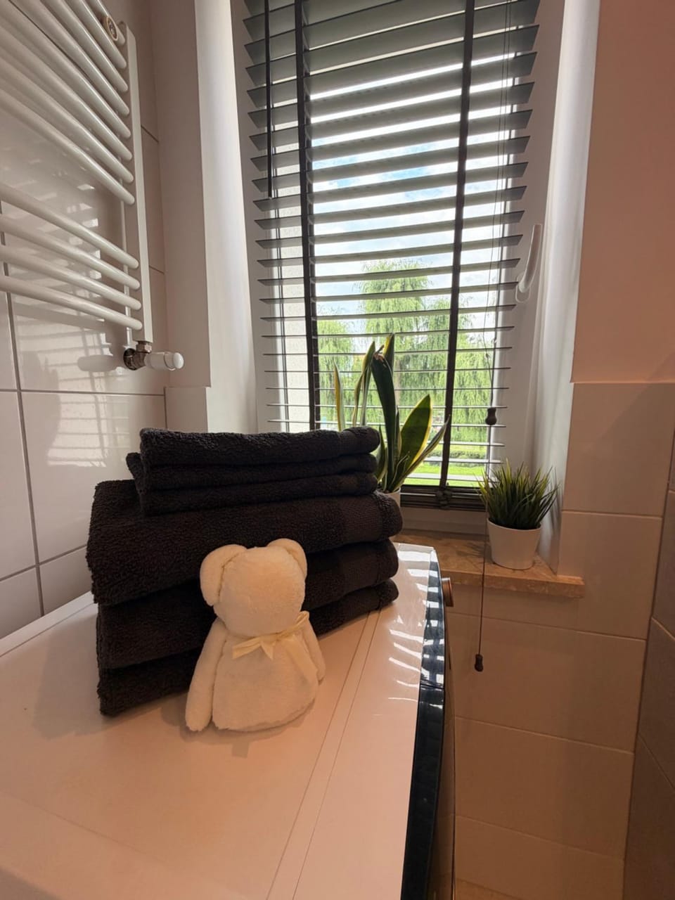 Apartament Modrzewia Apartment in Poland