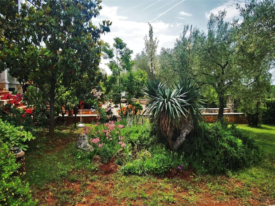 Apartment Nora mit Terrasse by Interhome Apartment in Istria County