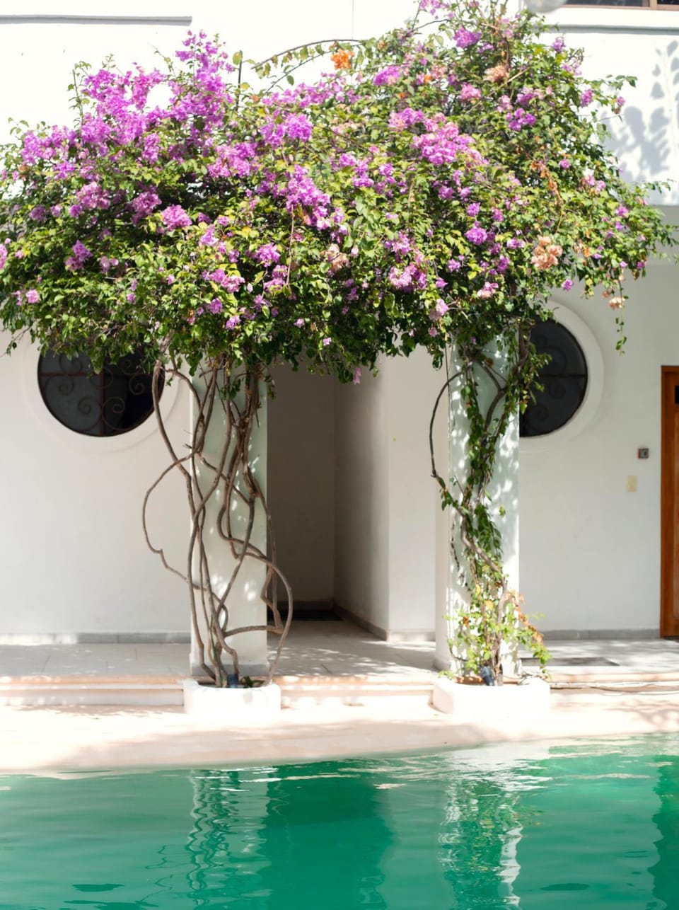 Garden view, Swimming pool