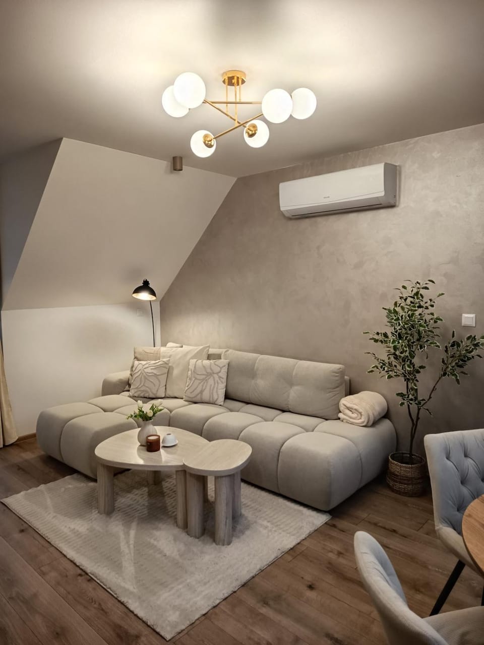 Living room, air conditioner