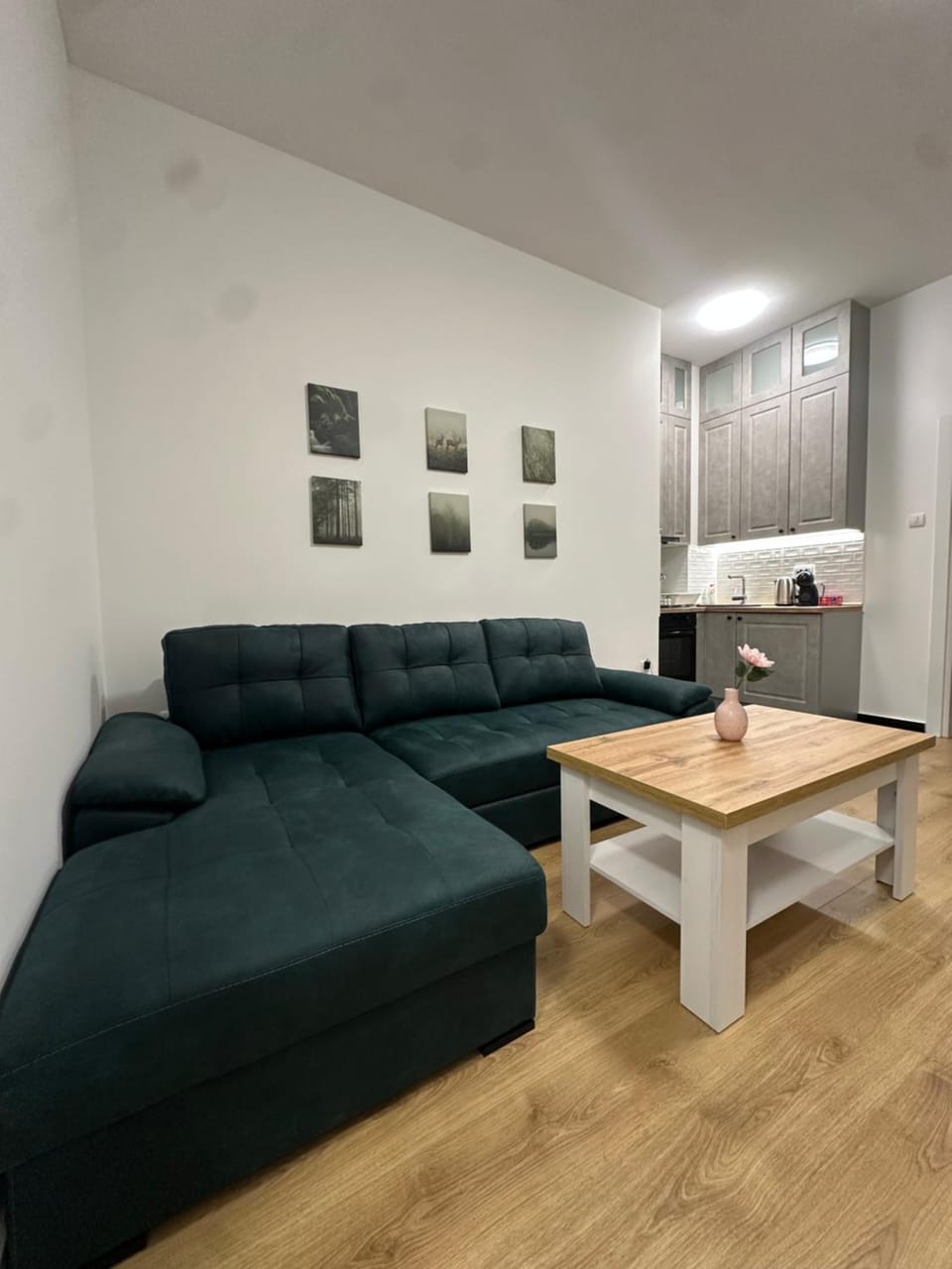 Panonski Mornar Apartment in Vojvodina