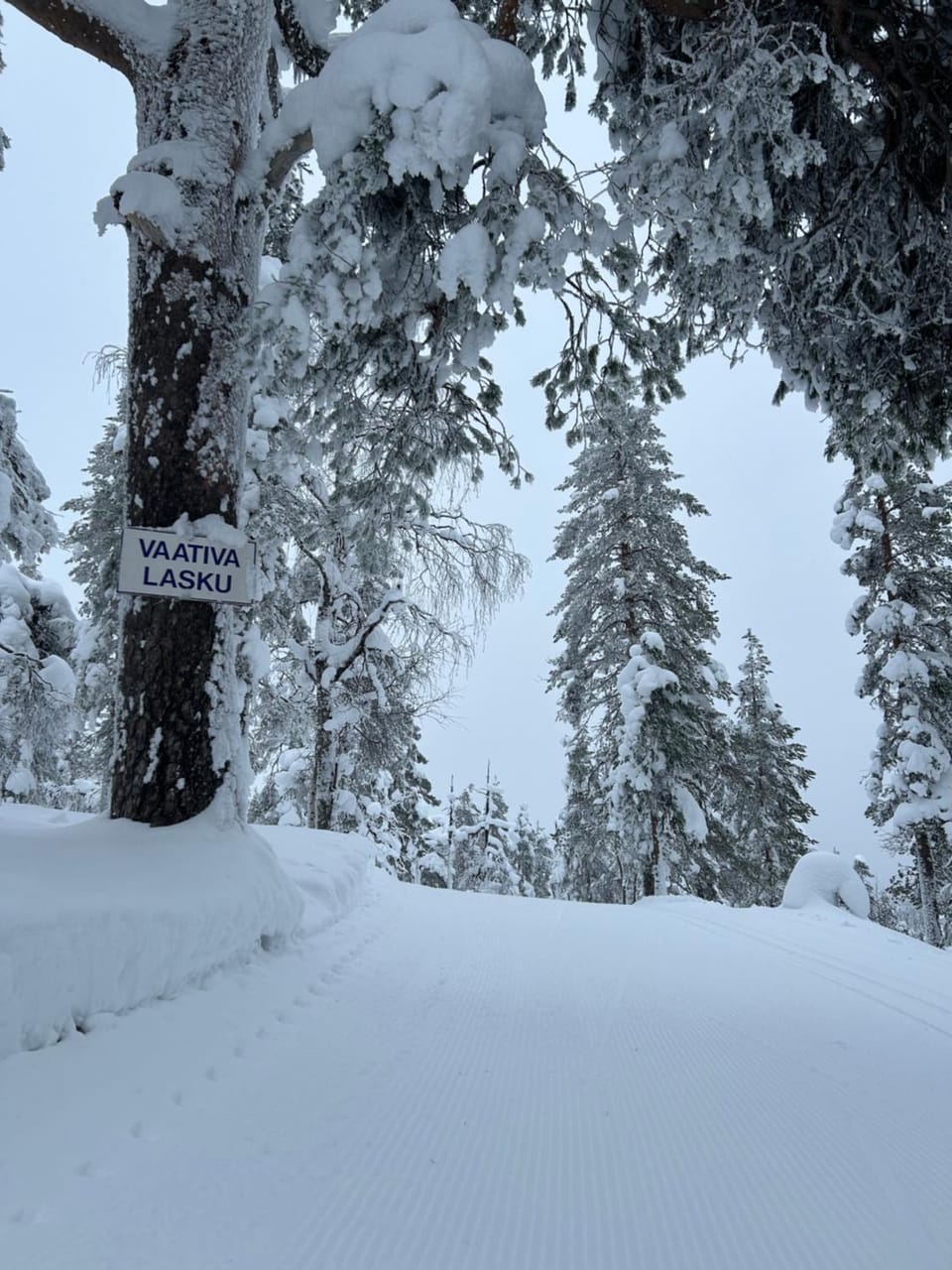 Natural landscape, Winter, Skiing