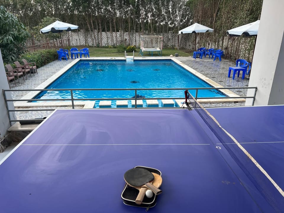 Garden, Swimming pool