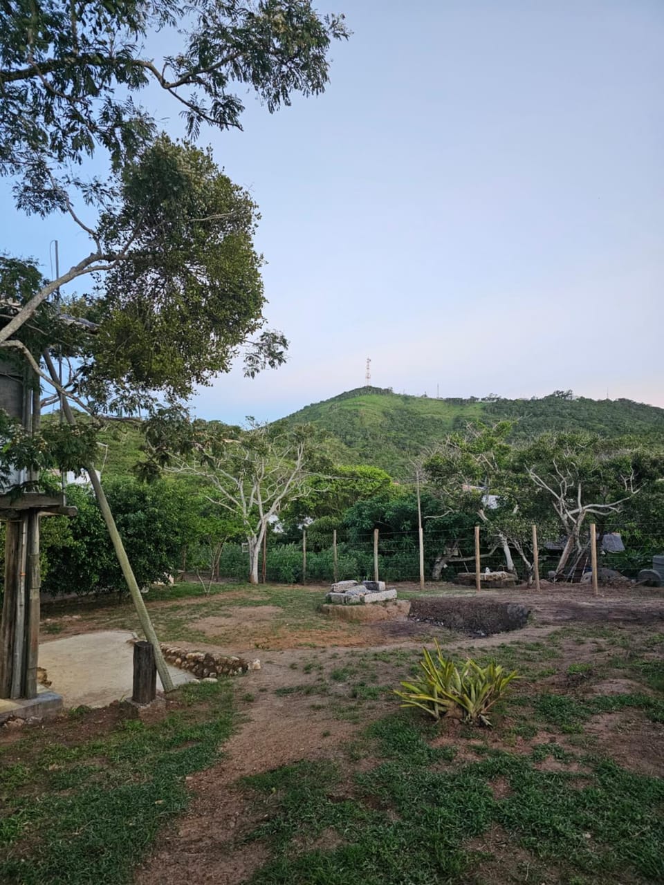 Cabana da Árvore Nature lodge in Cabo Frio