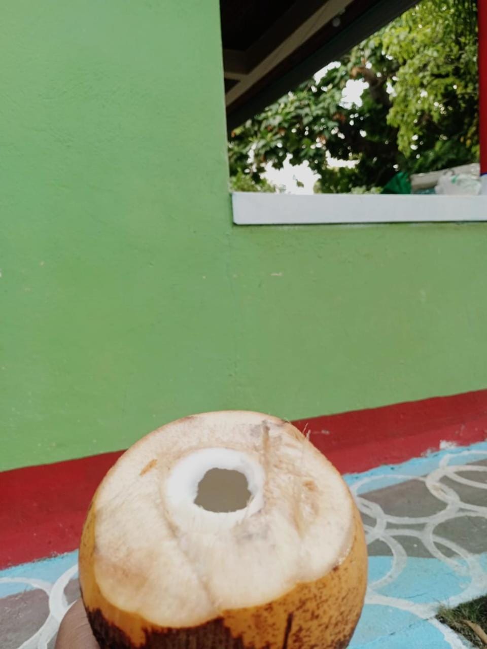 Apto Bread fruit #2 Apartment in San Andres